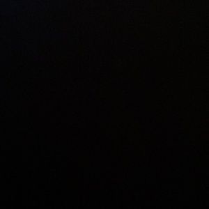 Meet your Posher, Tyson